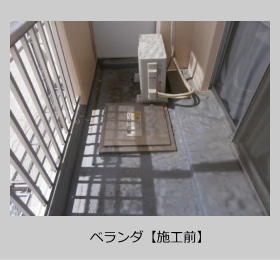 �x�����_�{�H�O