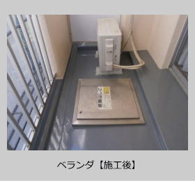 �x�����_�{�H��