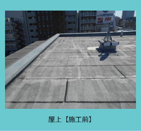 ���r�V�[�g�h���{�H�O