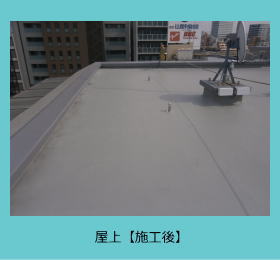 ���r�V�[�g�h���{�H��