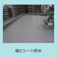 ���r�V�[�g�h��