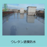 �E���^���h���h��